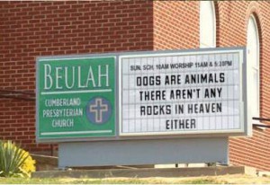 dogs in heaven Taking a stand for what matters!